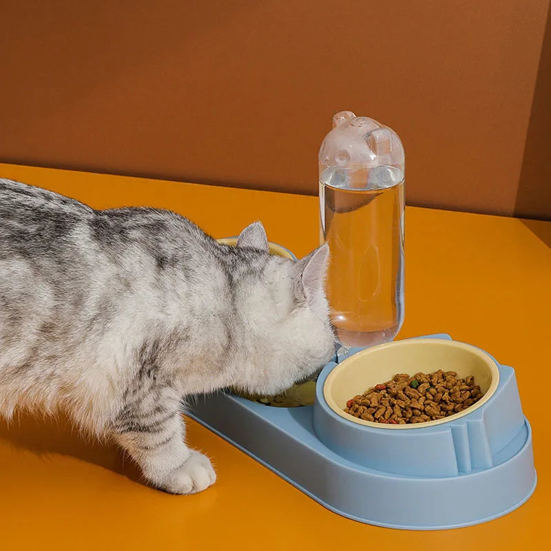 Double Dog Cat Bowls with Water Dispenser Tilted