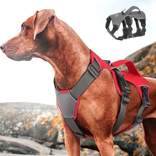 Dog Harness